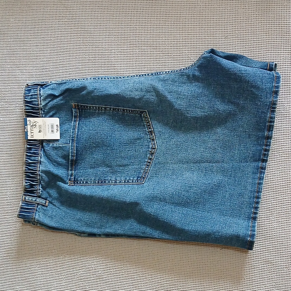 Terra & Sky Women's 4X Blue Elastic Back Shorts